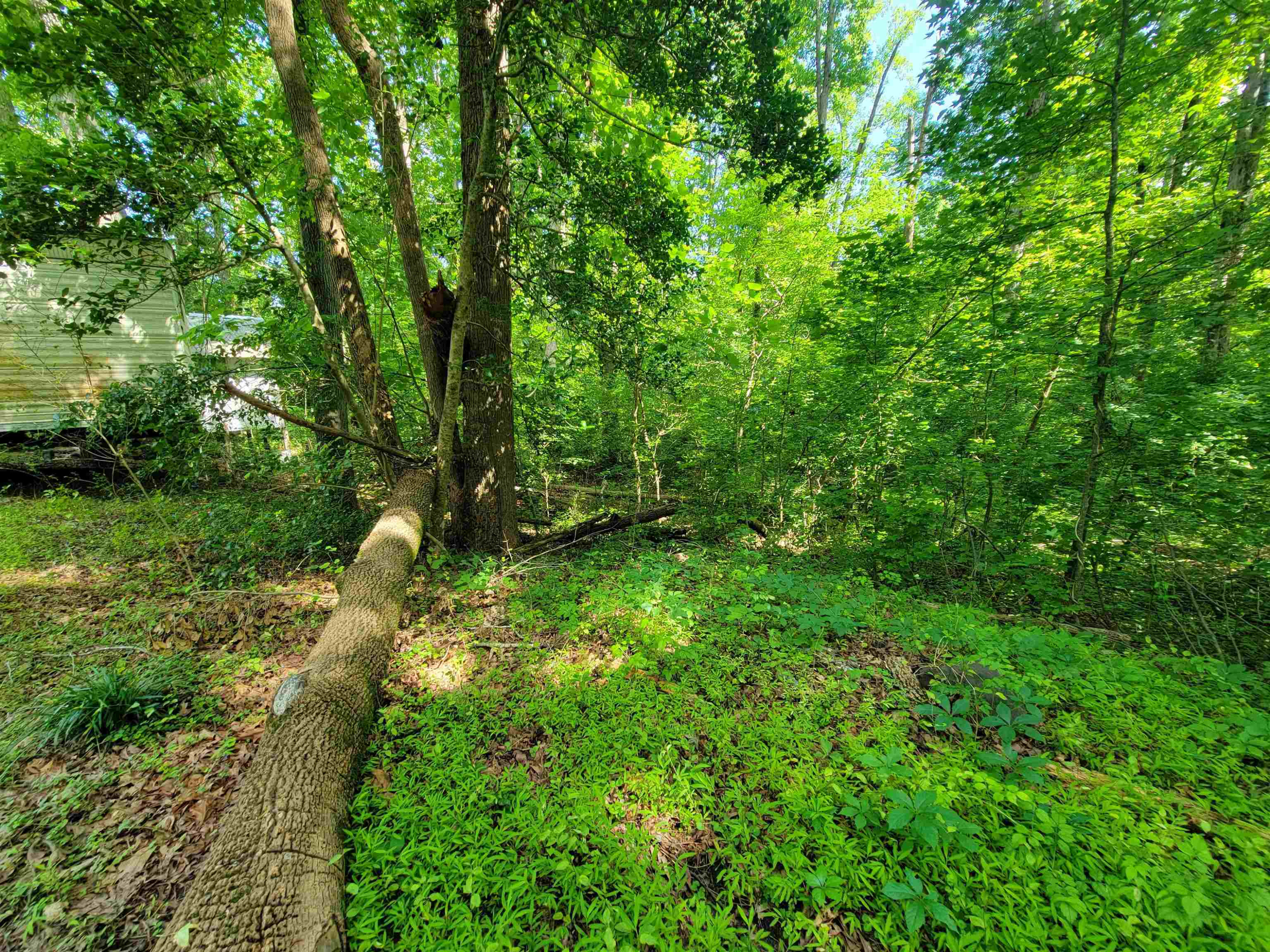 6400 Robertson Pond Road Wendell, NC 27591 - Photo 22 of 33 Photo 22