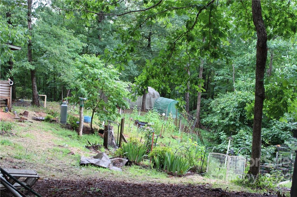 103 Goa Way Rutherfordton, NC 28139 - Photo 8 of 39 Gallery Image 8