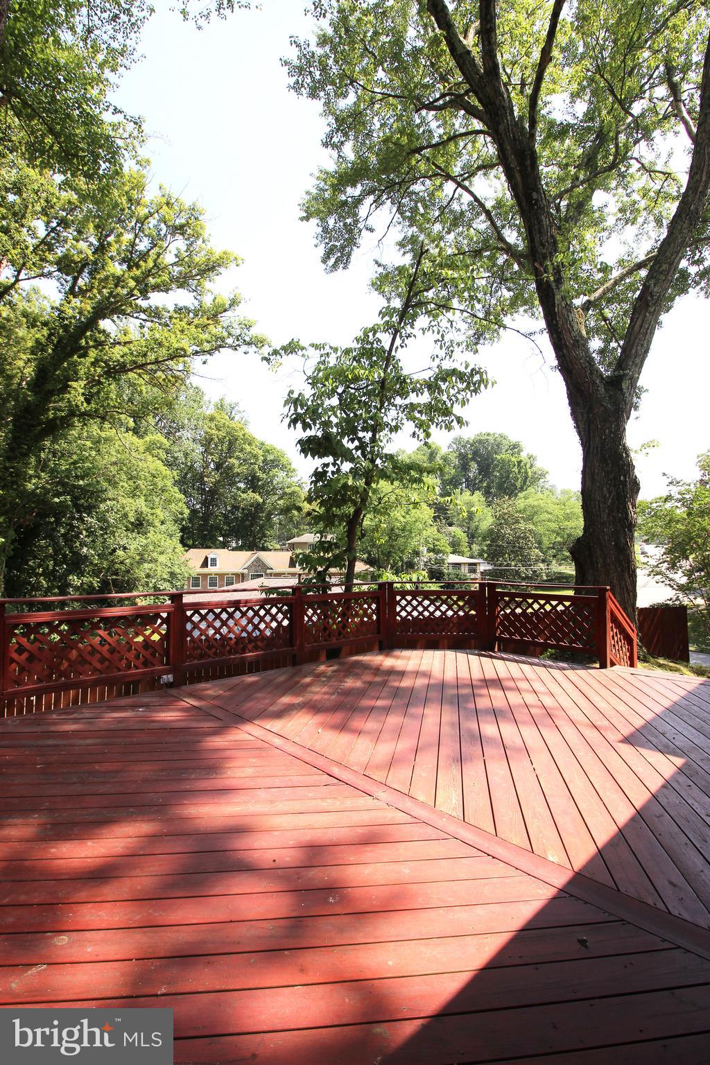 6211 Duntley Court Springfield, VA 22152 - Photo 43 of 53