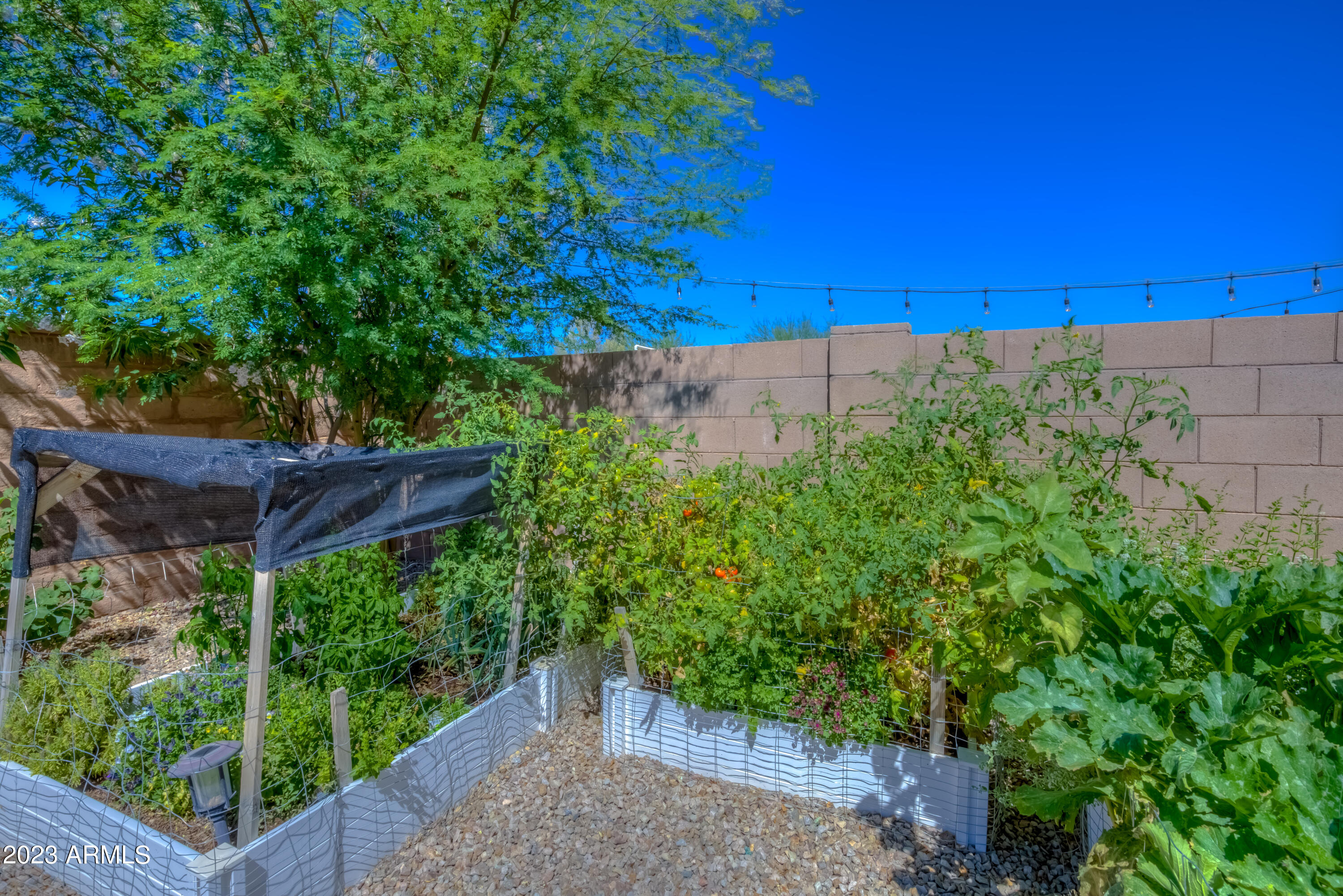 7560 South Circulo Rio Blanco Tucson, AZ 85756 - Photo 33 of 52 34 Back photo e