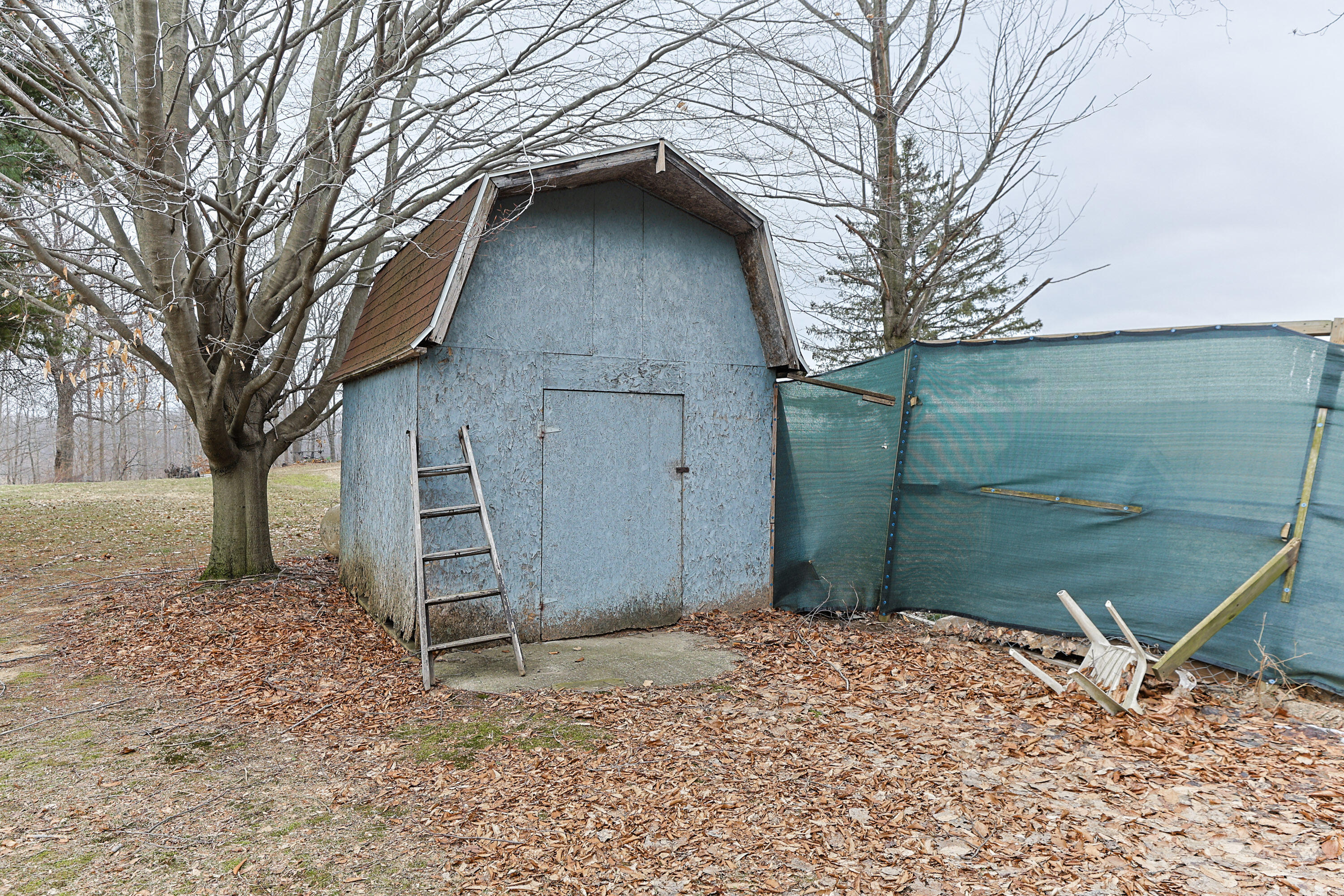 60123 Dailey Road Cassopolis, MI 49031 - Photo 33 of 43 Shed