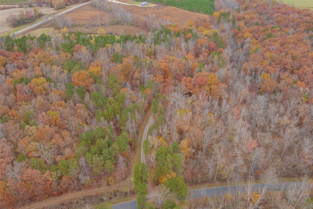 4810 Snead Spring Road Crewe, VA 23930 - Photo 44 of 58 Gallery Image 44