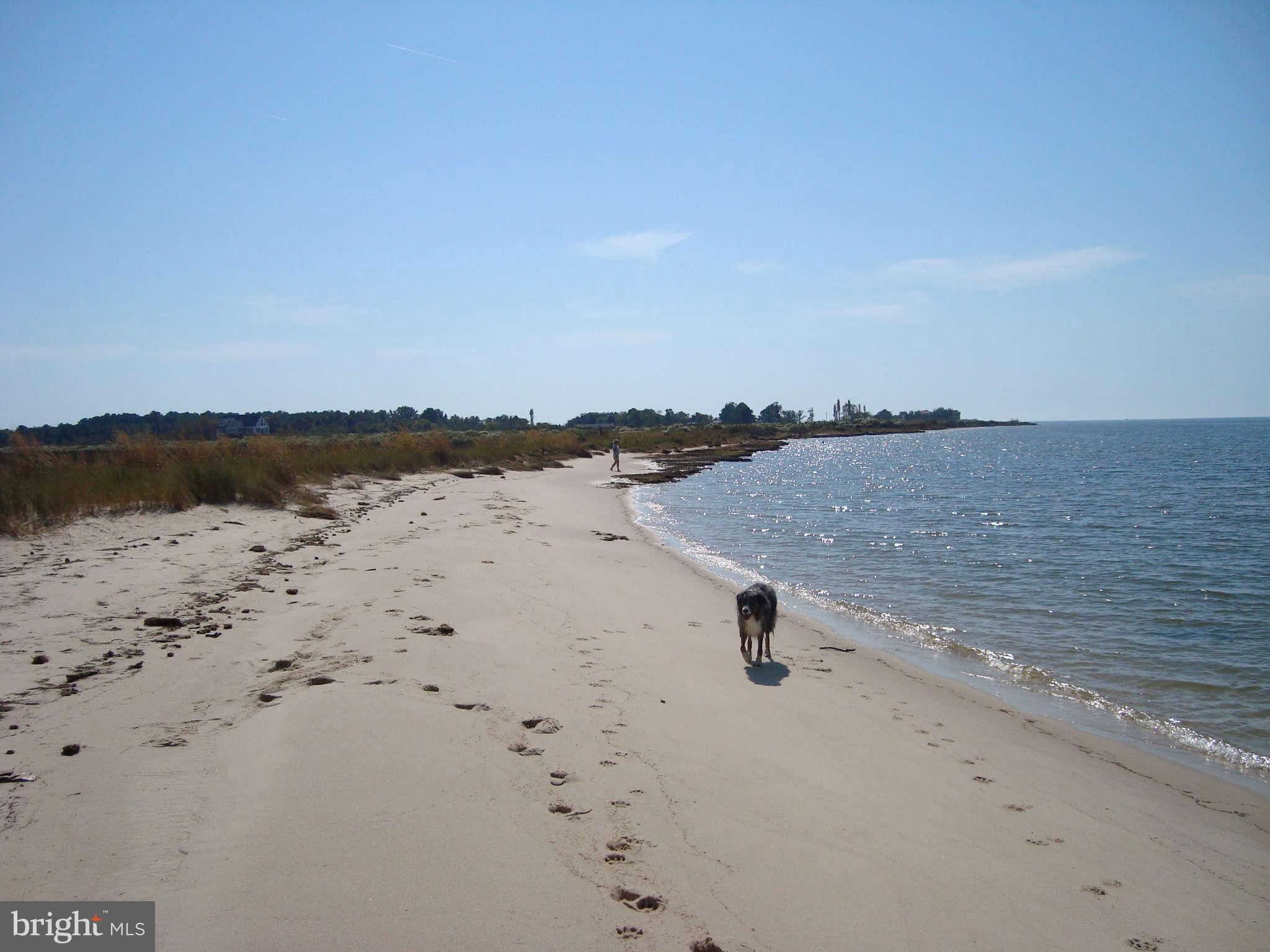 9790 Crowell Road Deal Island, MD 21821 - Photo 3 of 30 View