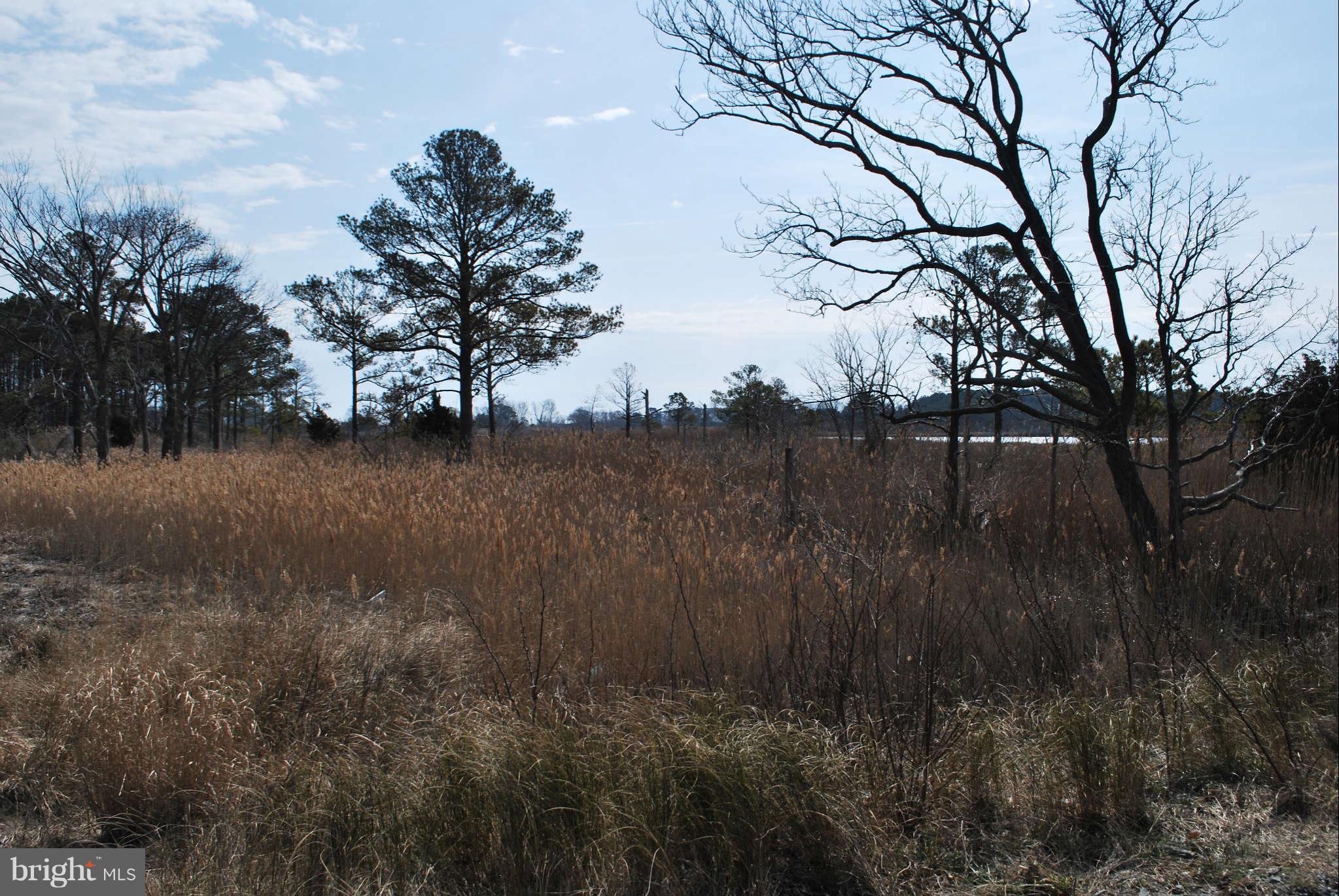 9790 Crowell Road Deal Island, MD 21821 - Photo 27 of 30 View