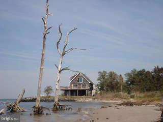 9790 Crowell Road Deal Island, MD 21821 - Photo 6 of 30 Exterior (General)