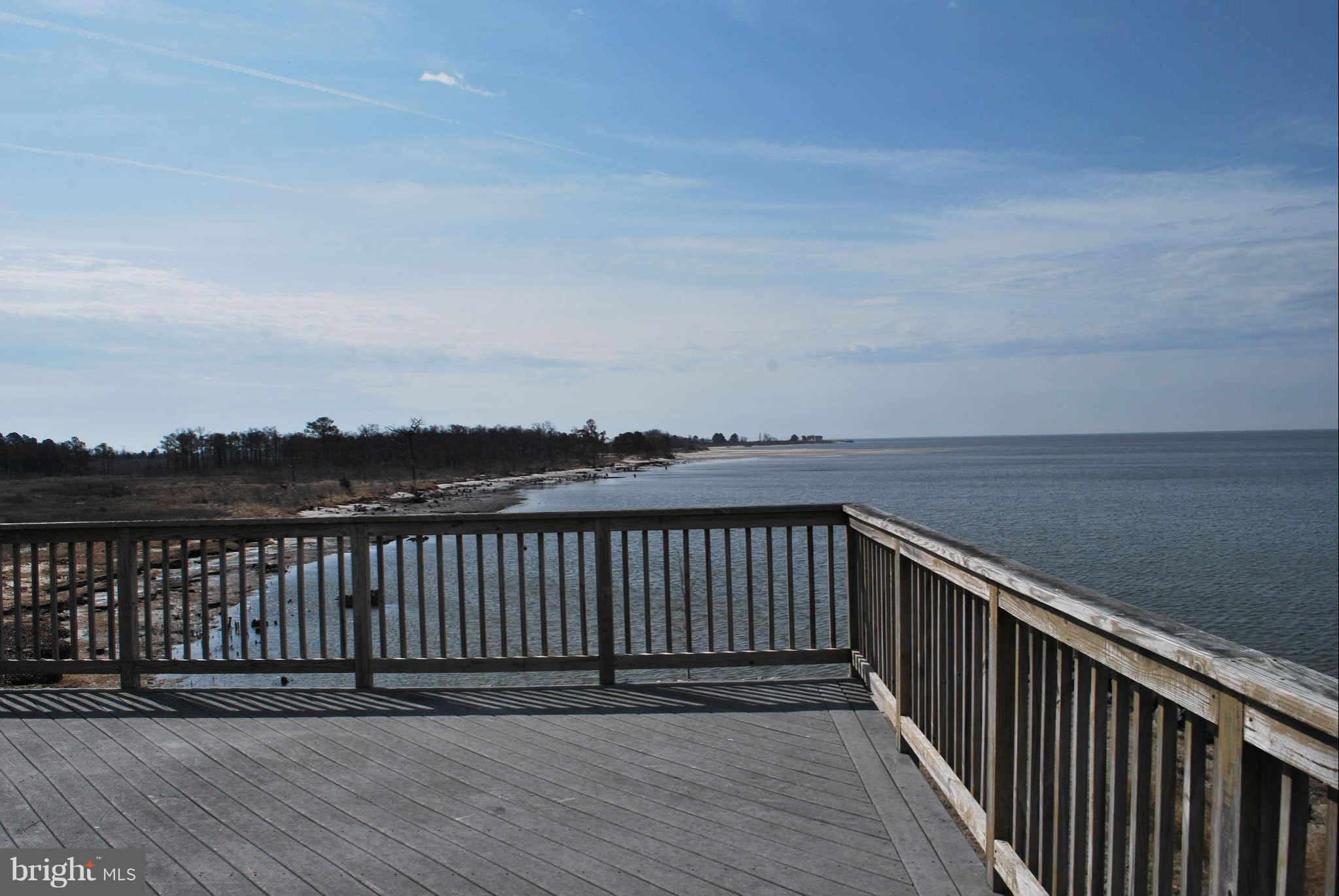 9790 Crowell Road Deal Island, MD 21821 - Photo 9 of 30 View