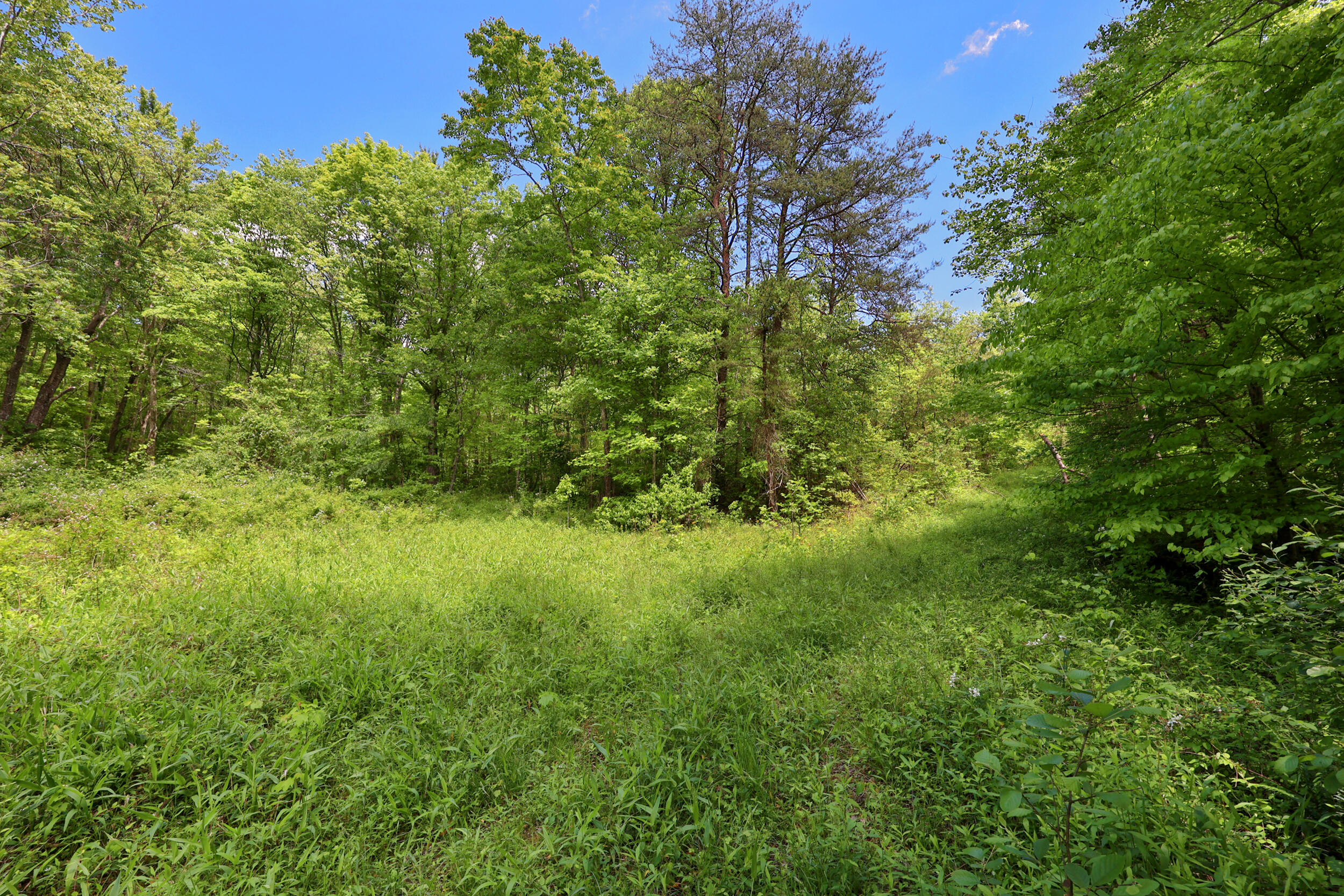 9999 Long Branch Road London, KY 40741 - Photo 9 of 30 5_pend7163