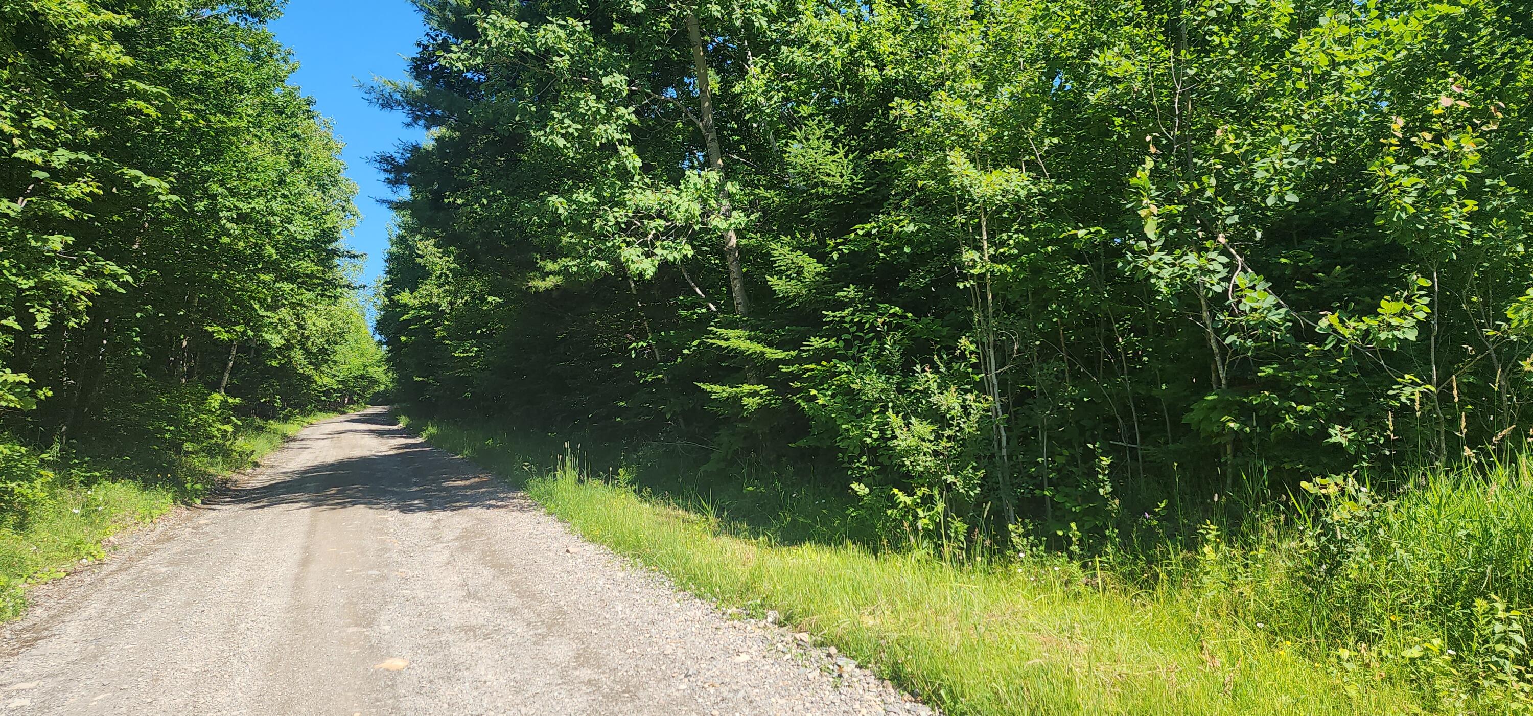 21-ac Off Dow Farm Road Island Falls, ME 04747 - Photo 7 of 19 20240701_094056