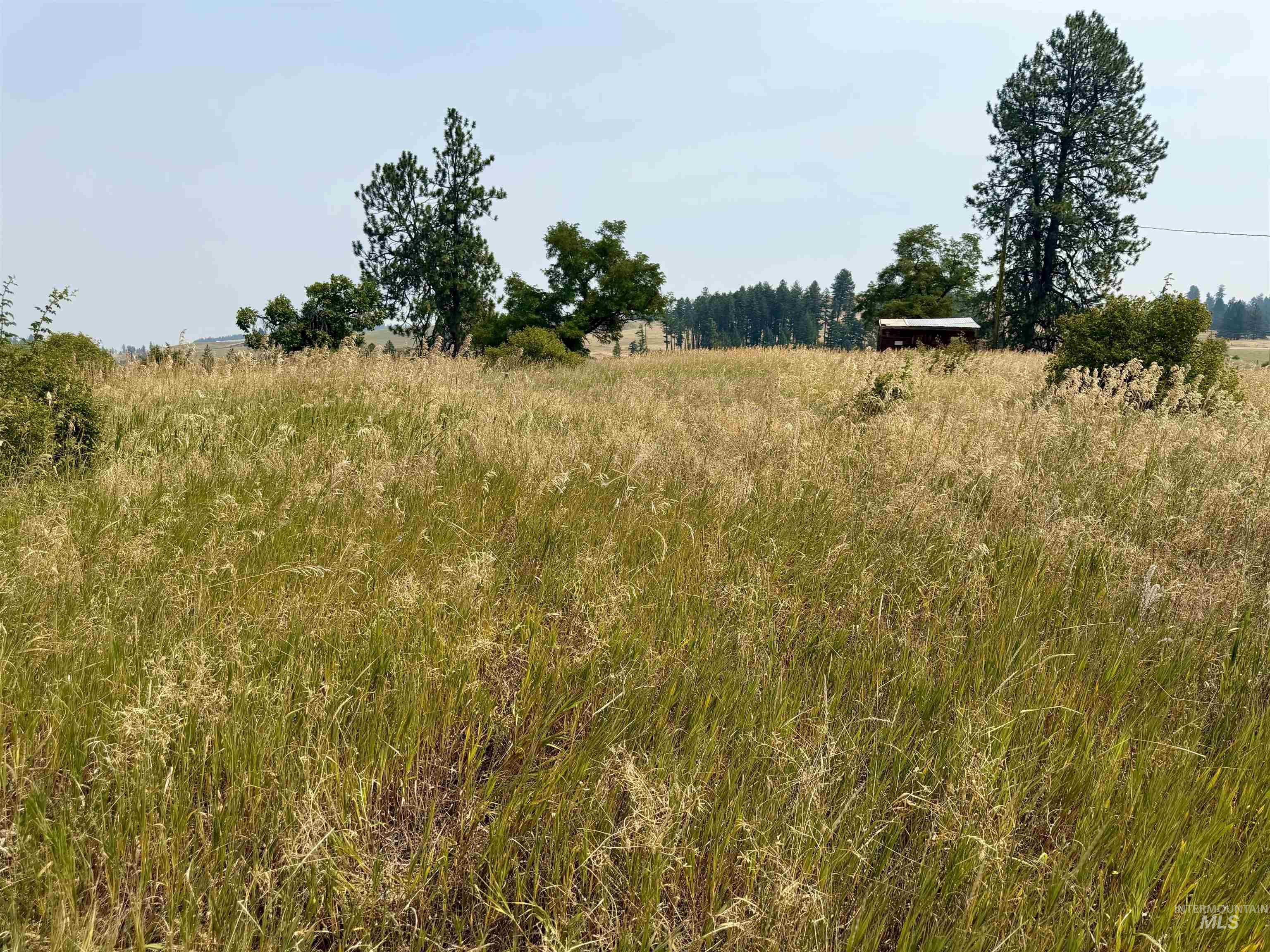1003 Beaver Slide Road Kamiah, ID 83536 - Photo 7 of 19 Gallery Image 7