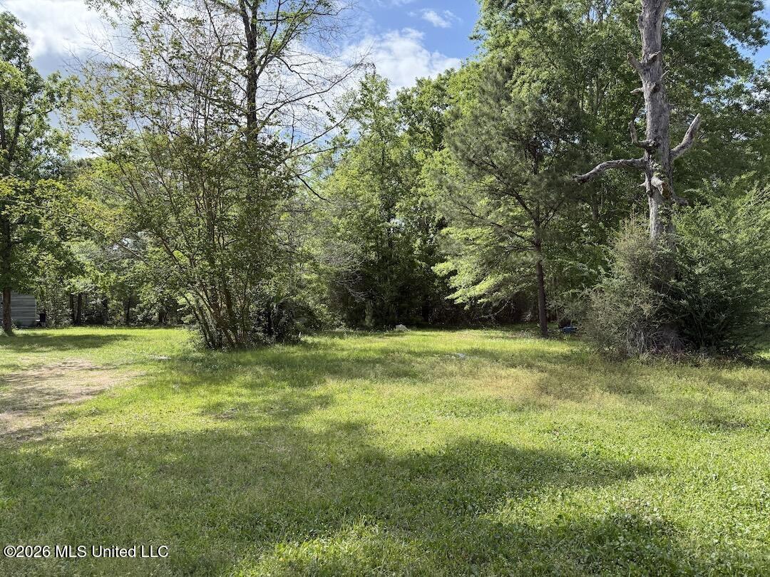 538 Miles Cemetery Road Wiggins, MS 39577 - Photo 16 of 25 IMG_4528