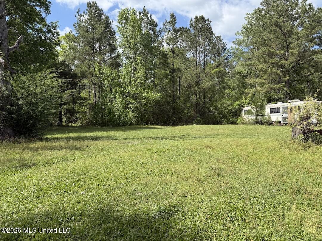 538 Miles Cemetery Road Wiggins, MS 39577 - Photo 17 of 25 IMG_4526