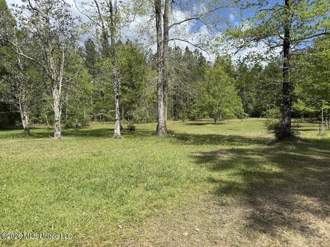 538 Miles Cemetery Road Wiggins, MS 39577 - Photo 18 of 25 IMG_4524