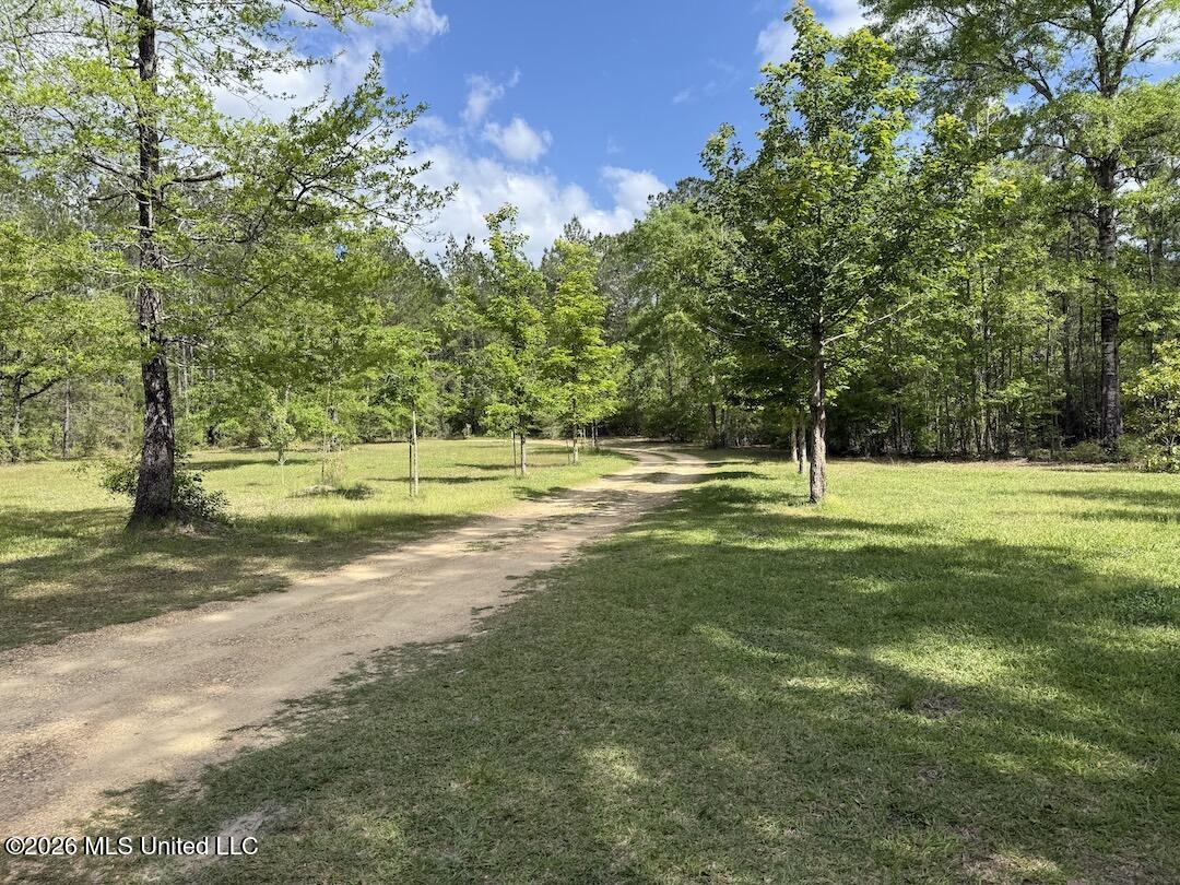 538 Miles Cemetery Road Wiggins, MS 39577 - Photo 19 of 25 IMG_4519