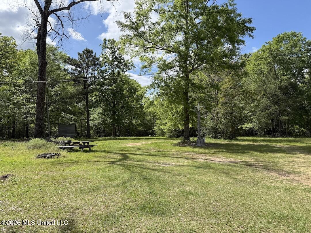 538 Miles Cemetery Road Wiggins, MS 39577 - Photo 20 of 25 IMG_4520