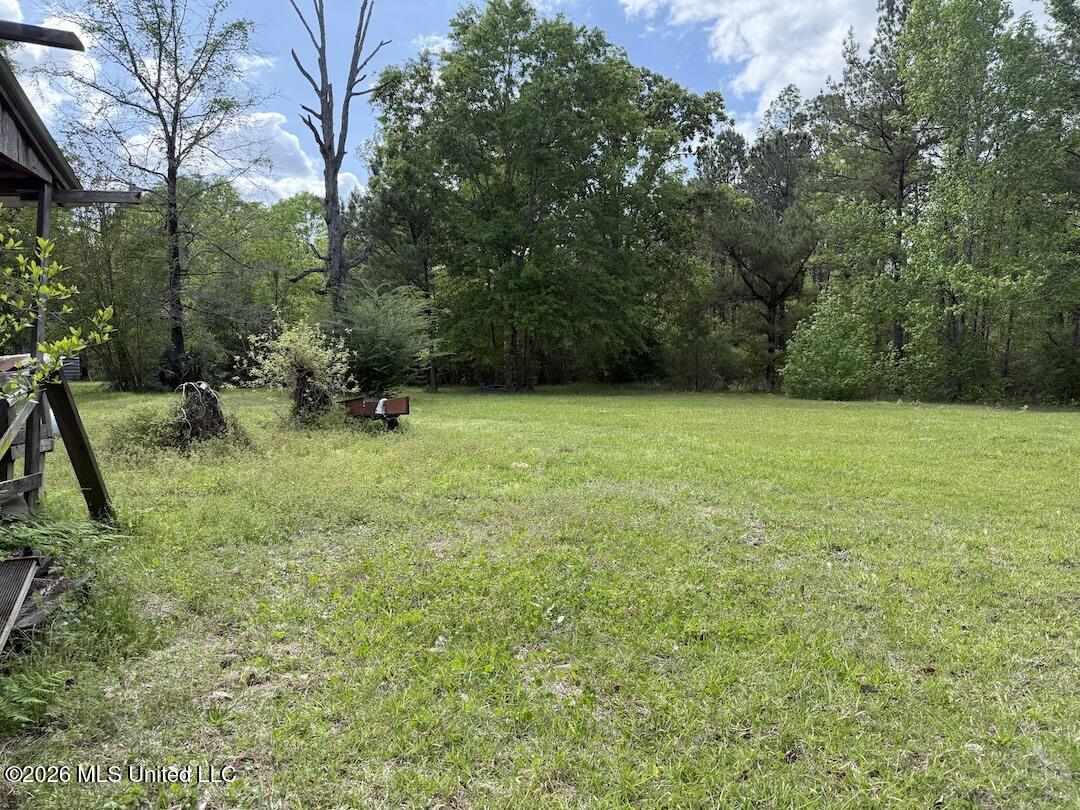 538 Miles Cemetery Road Wiggins, MS 39577 - Photo 23 of 25 IMG_4539