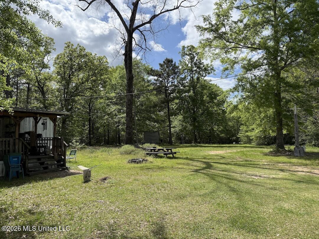 538 Miles Cemetery Road Wiggins, MS 39577 - Photo 24 of 25 IMG_4521