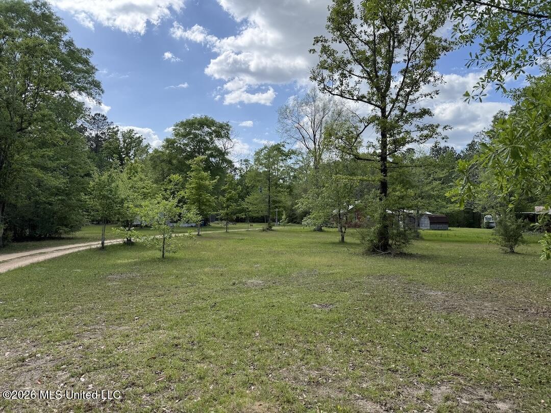 538 Miles Cemetery Road Wiggins, MS 39577 - Photo 4 of 25 IMG_4541