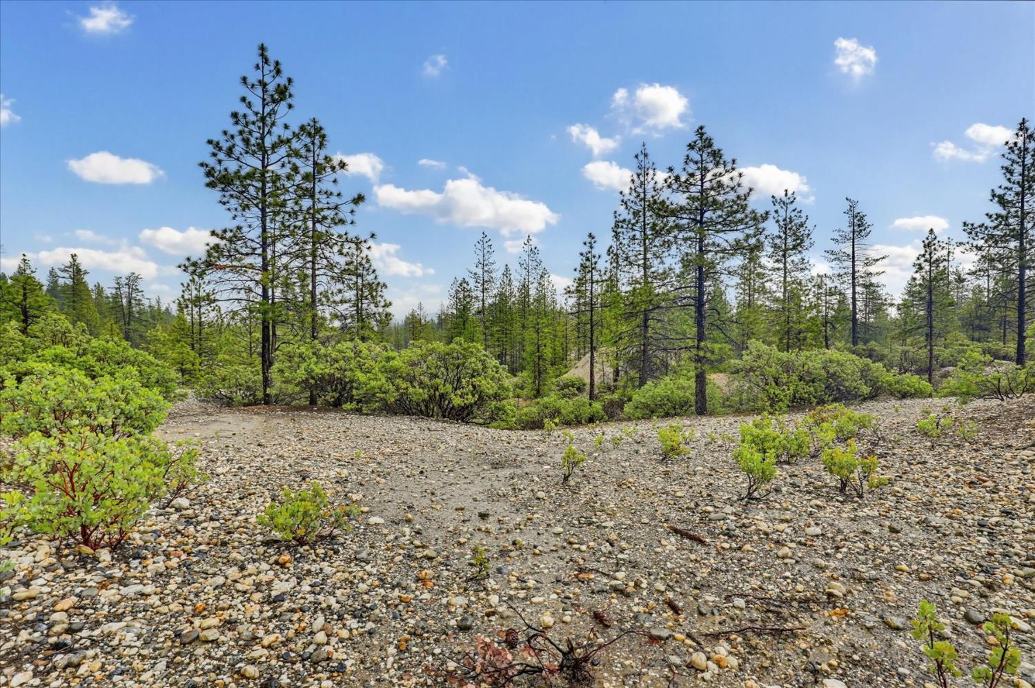 13751 Sailor Flat Road Nevada City, CA 95959 - Photo 36 of 49
