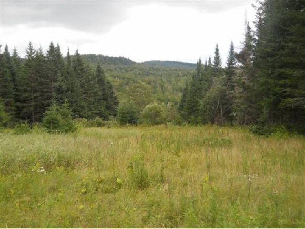 ** Ad Chase Road Pittsburg, NH 03592 - Photo 3 of 7 Gallery Image 3