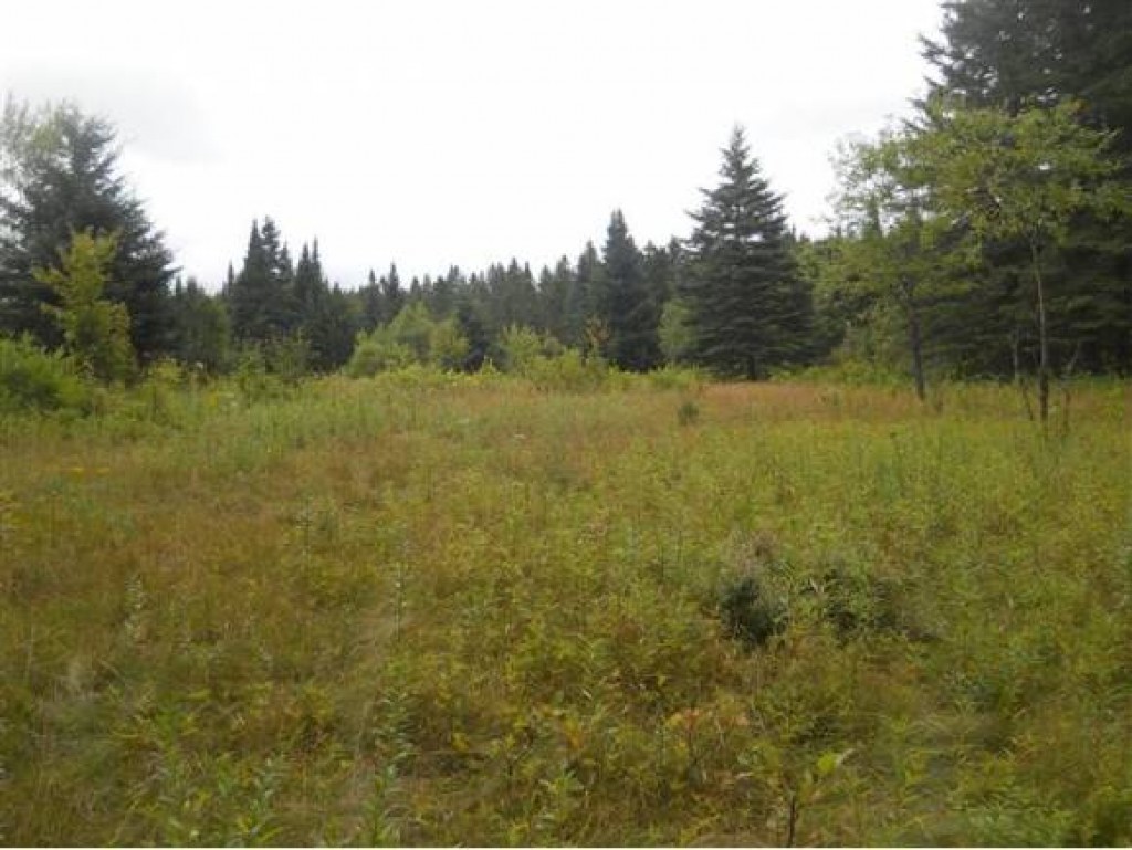 ** Ad Chase Road Pittsburg, NH 03592 - Photo 4 of 7 Gallery Image 4