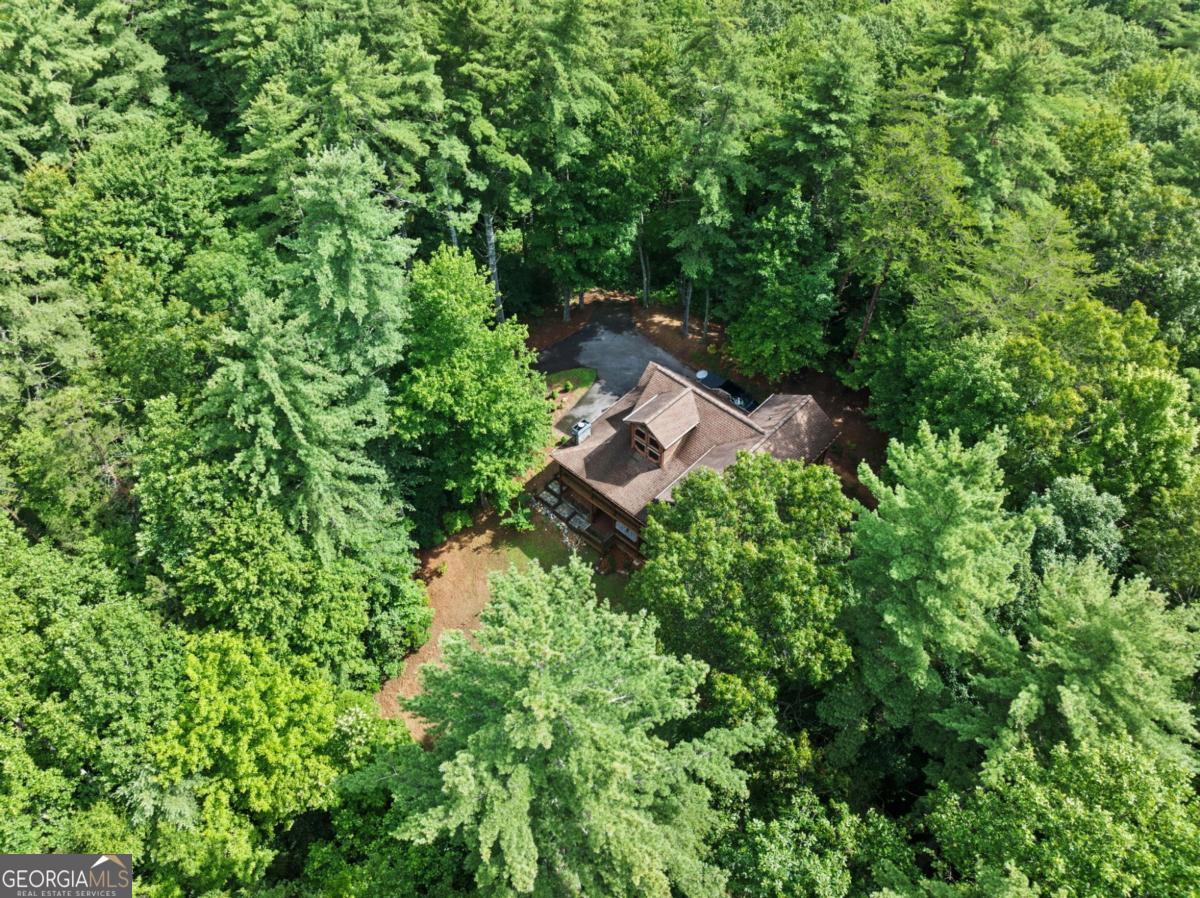 100 Cohutta View Road Epworth, GA 30541 - Photo 42 of 45