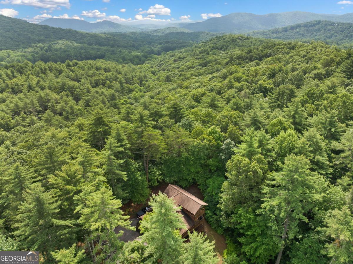 100 Cohutta View Road Epworth, GA 30541 - Photo 44 of 45