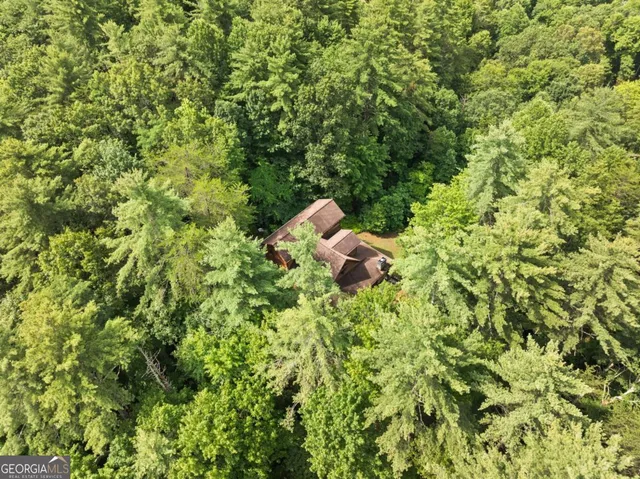 $689,900 | 100 Cohutta View Road, Epworth, GA 30541