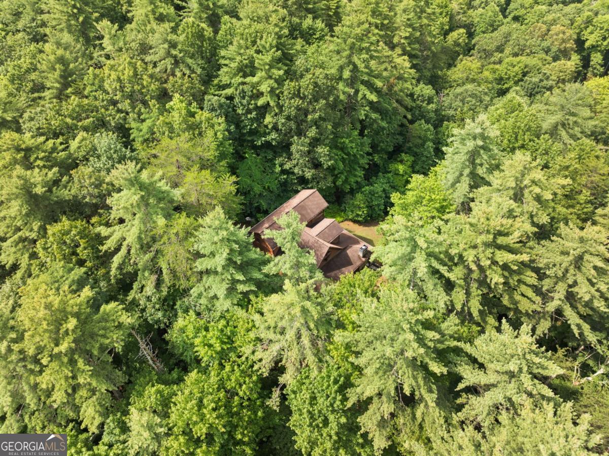 100 Cohutta View Road Epworth, GA 30541 - Photo 45 of 45