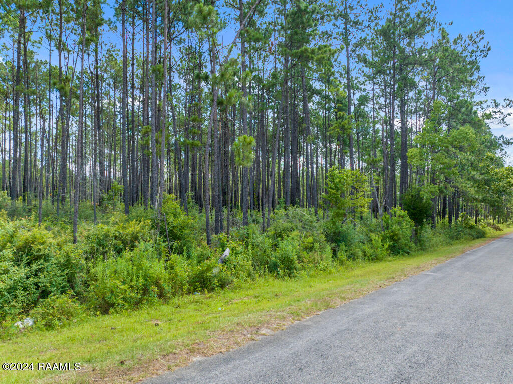 0 Horace Johnson Road Pitkin, LA 70656 - Photo 3 of 23 02