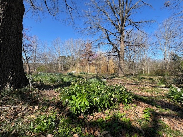 8888 Arnold Road Christiana, TN 37037 - Photo 8 of 15 Gallery Image 8