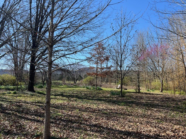 8888 Arnold Road Christiana, TN 37037 - Photo 10 of 15 Gallery Image 10
