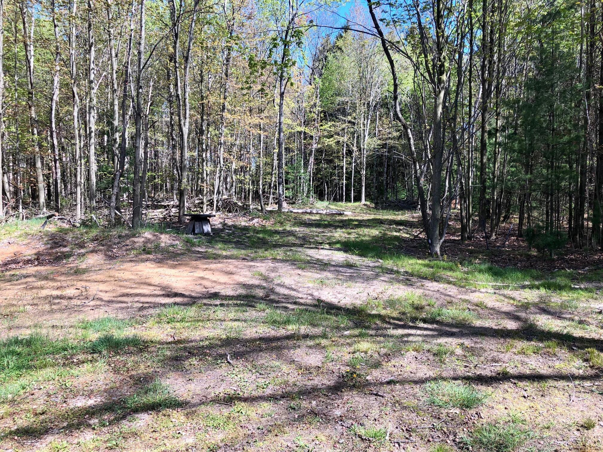 6860 West Decker Road Ludington, MI 49431 - Photo 37 of 41 IMG_1647