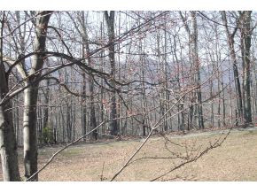 19869 Phillips Road Bristol, VA 24202 - Photo 3 of 9 Photo 3