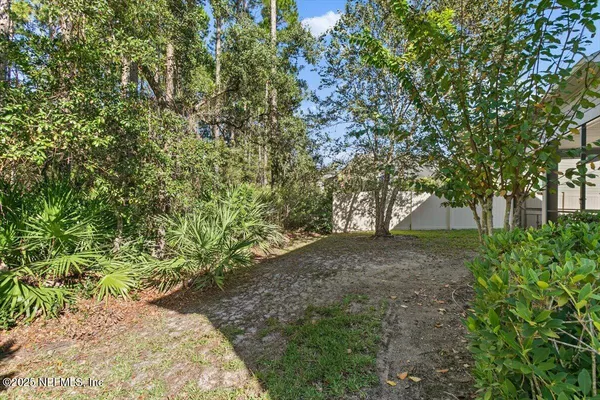 a view of a yard with plants and trees