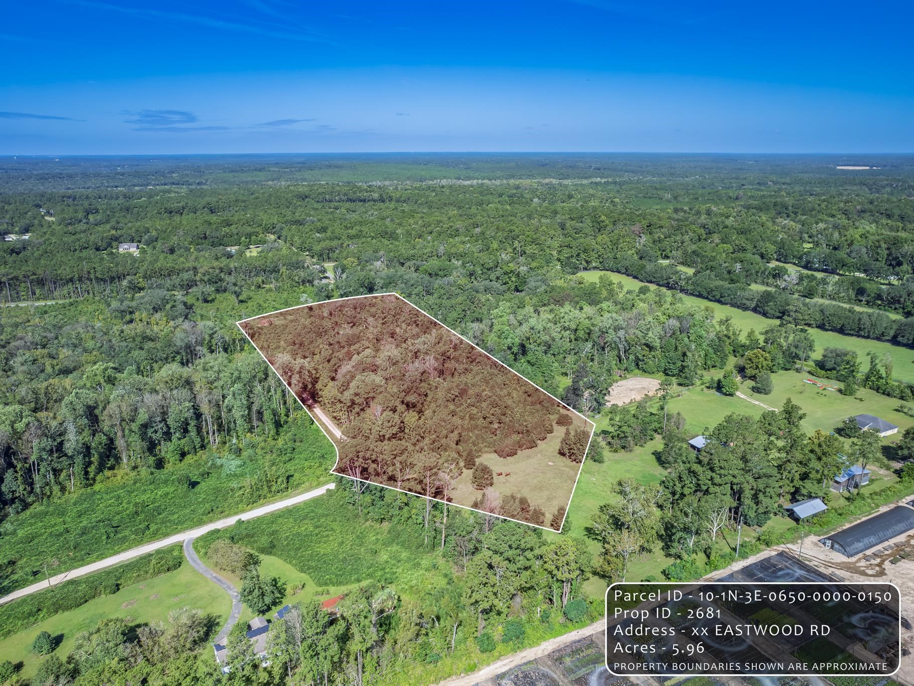 Eastwood Road Monticello, FL 32344 - Photo 11 of 20 Gallery Image 11