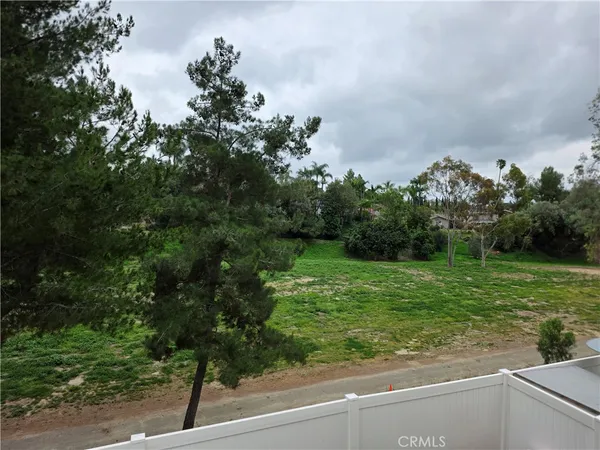 a view of a yard with a tree