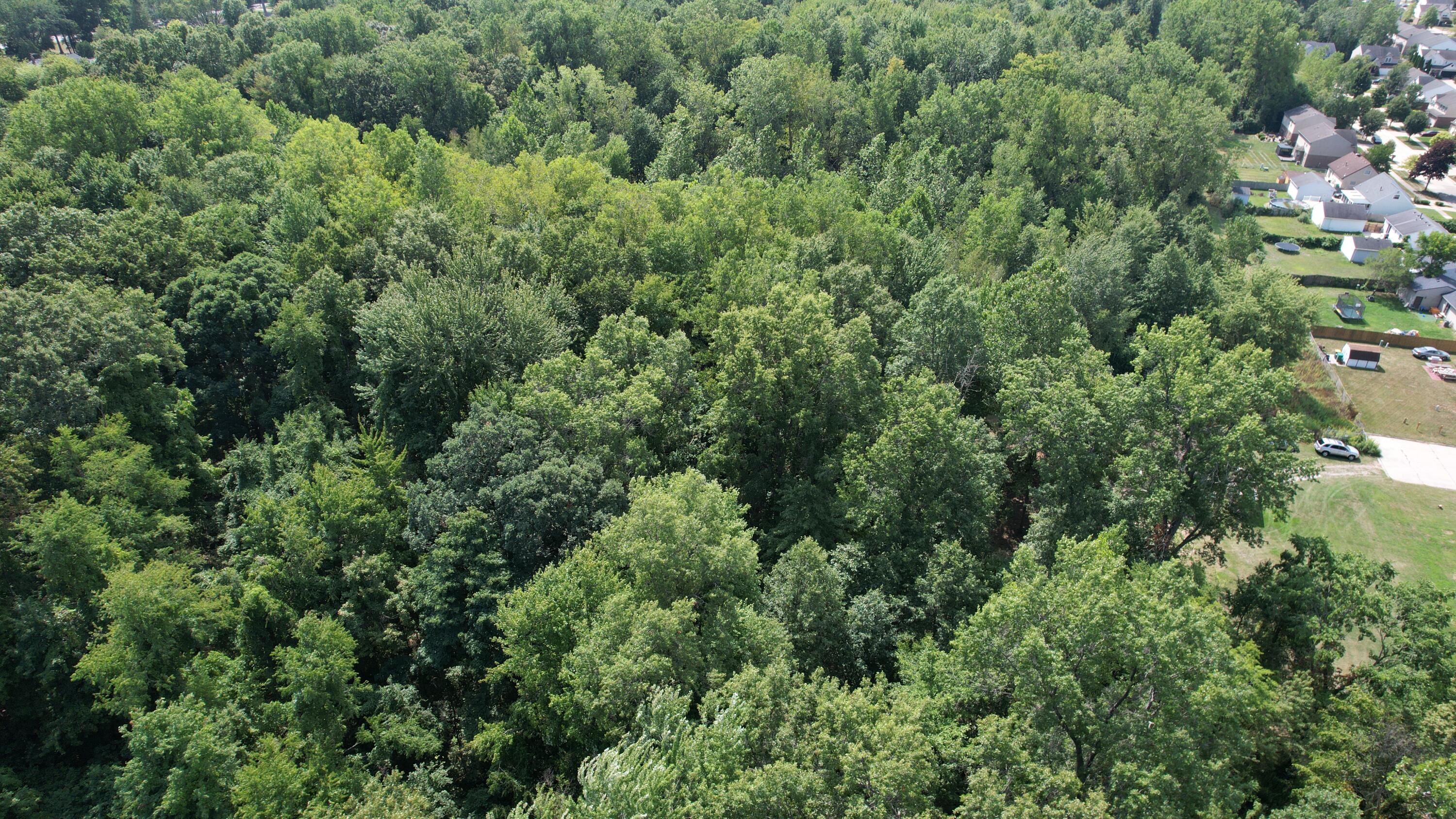 Inkster Road Romulus, MI 48174 - Photo 6 of 6 dji_fly_20260820_120932_745_178725153654