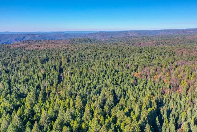 a view of outdoor space and green space