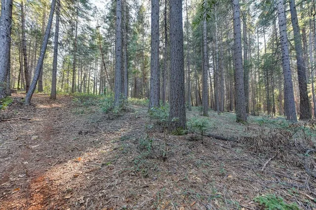 a view of outdoor space with green space
