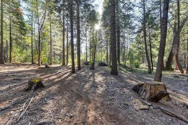 a backyard of a house