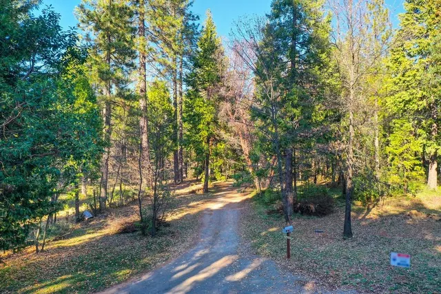 a view of a lush green outdoor space with a sink