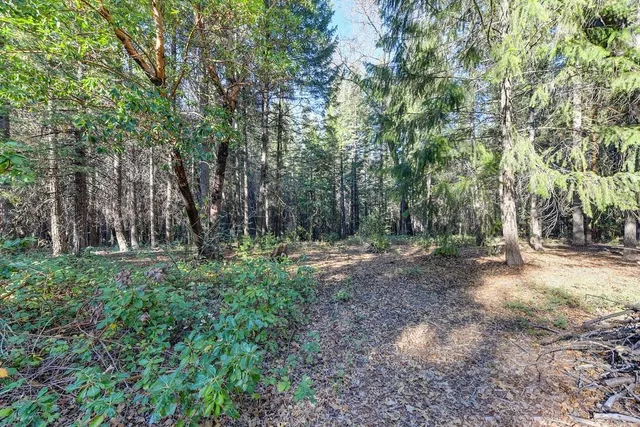 a view of a lush green hillside and a mountain view