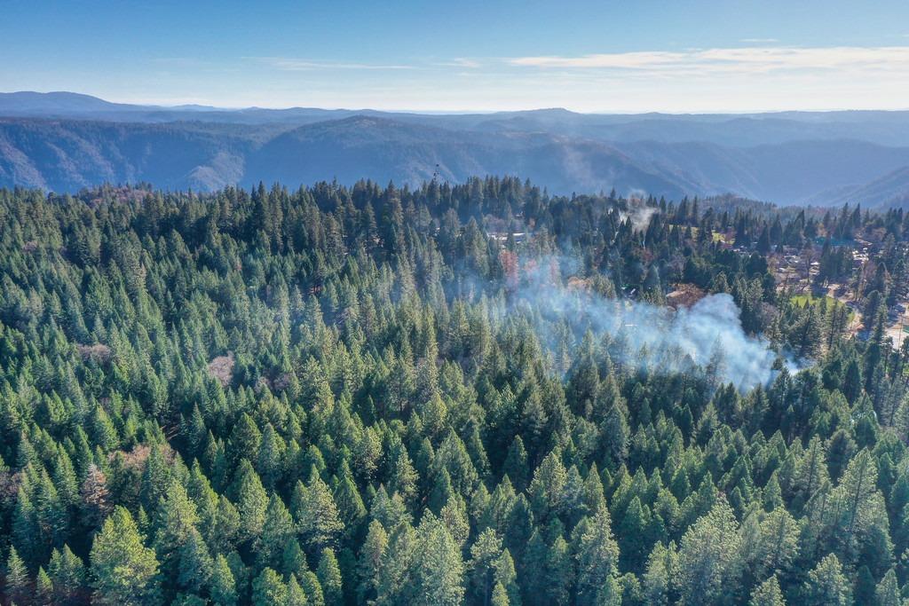 24825 Harrison Street Foresthill, CA 95631 - Photo 29 of 47 a view of a lush green hillside and a mountain view