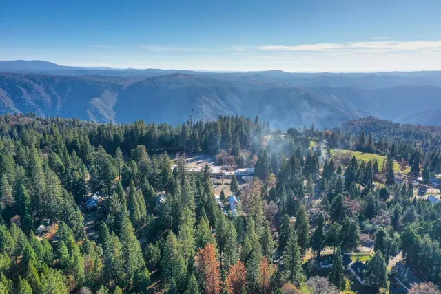 a view of a green field with lots of bushes