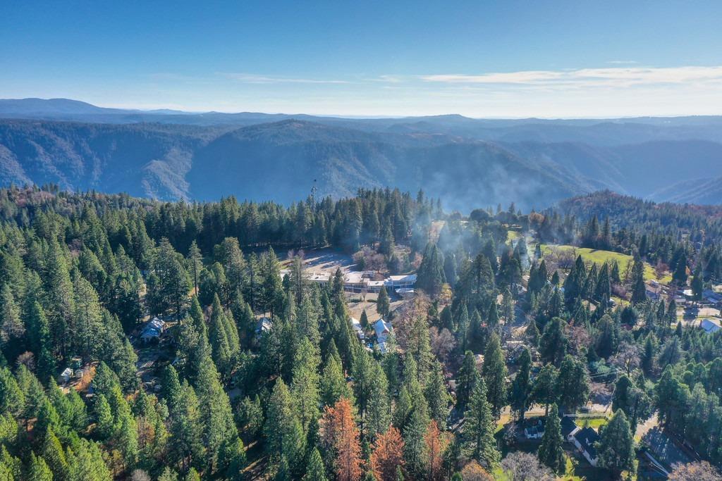 24825 Harrison Street Foresthill, CA 95631 - Photo 30 of 47 a view of a backyard
