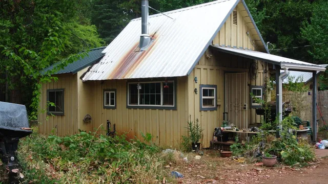 a view of a lush green hillside and a mountain