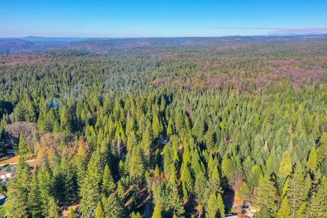 a street sign on a sidewalk next to a road