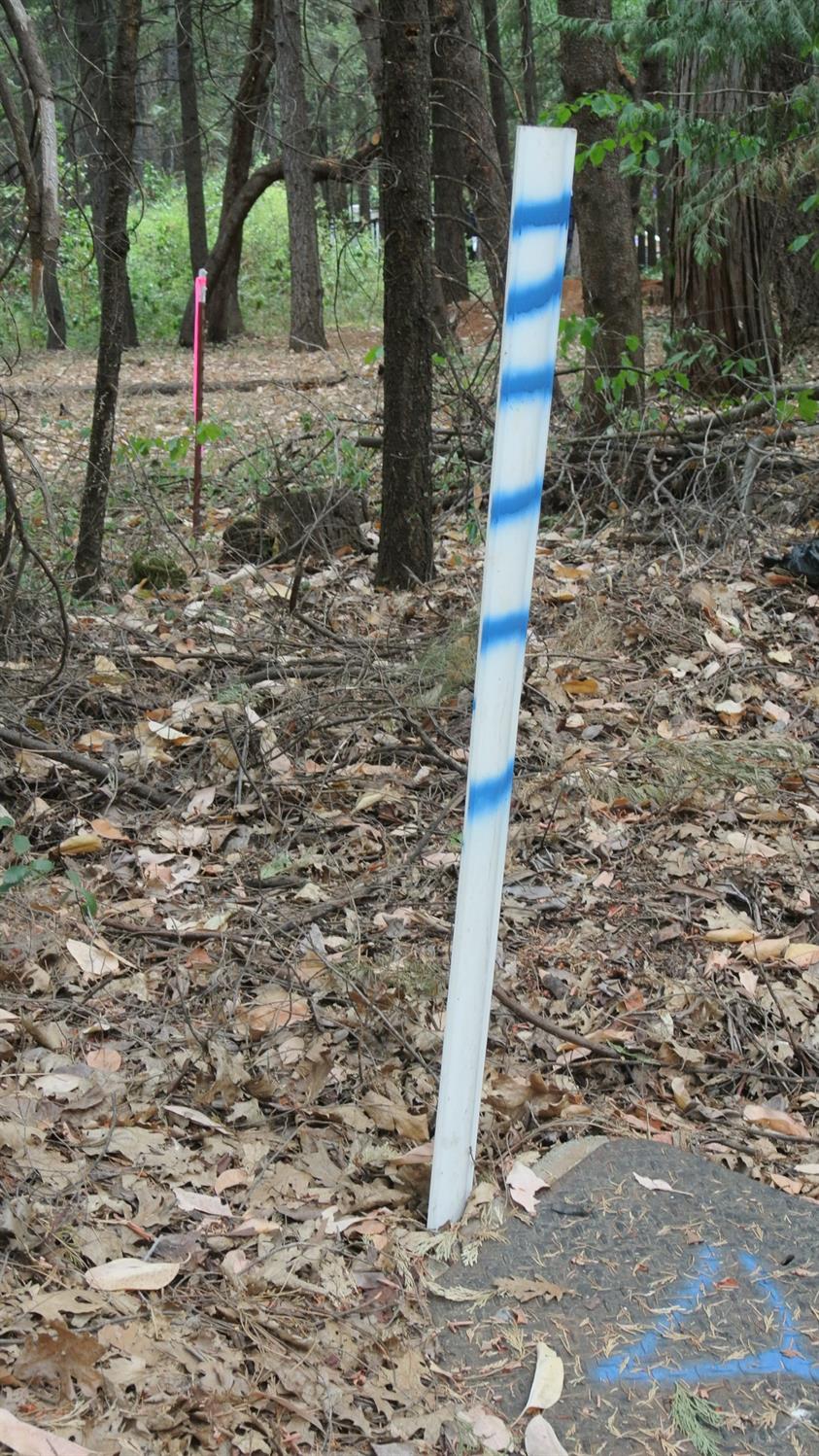 24825 Harrison Street Foresthill, CA 95631 - Photo 35 of 47 a backyard of a house with lots of green space