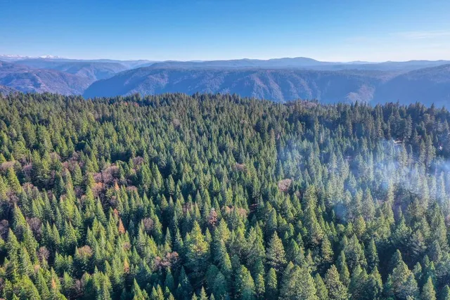 a view of outdoor space with trees