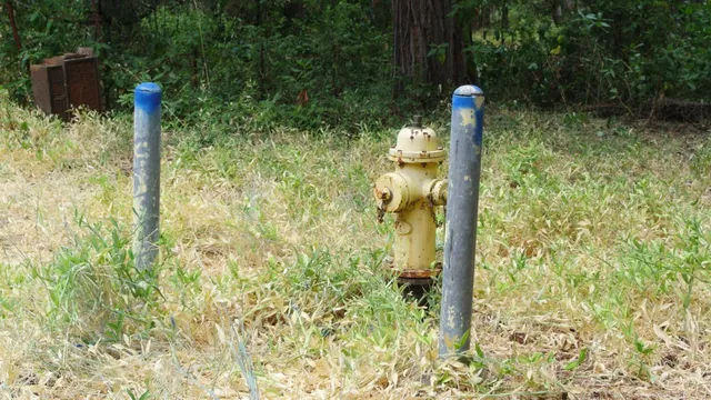 a street sign that is on a tree